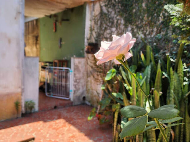 #62310384 - Casa para Venda em São Paulo - SP