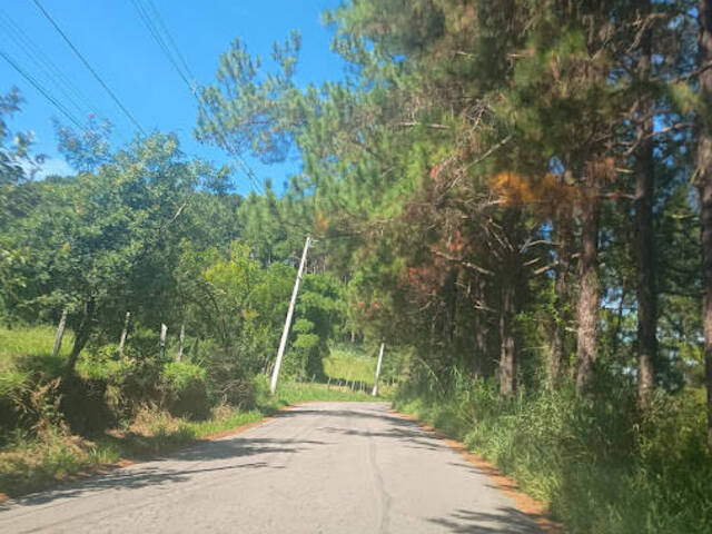 #62310397 - Chácara para Venda em Itatiba - SP